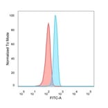 Flow Cytometry - Anti-HOMEZ Antibody [PCRP-HOMEZ-1B5] - BSA and Azide free (A252956) - Antibodies.com