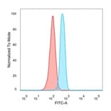 Flow Cytometry - Anti-OVOL2 Antibody [PCRP-OVOL2-2A1] - BSA and Azide free (A253005) - Antibodies.com