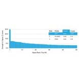 Protein Array - Anti-RAC1 Antibody [CPTC-RAC1-1] - BSA and Azide free (A253006) - Antibodies.com