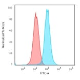 Flow Cytometry - Anti-RAD51 Antibody [RAD51/2701] - BSA and Azide free (A253008) - Antibodies.com