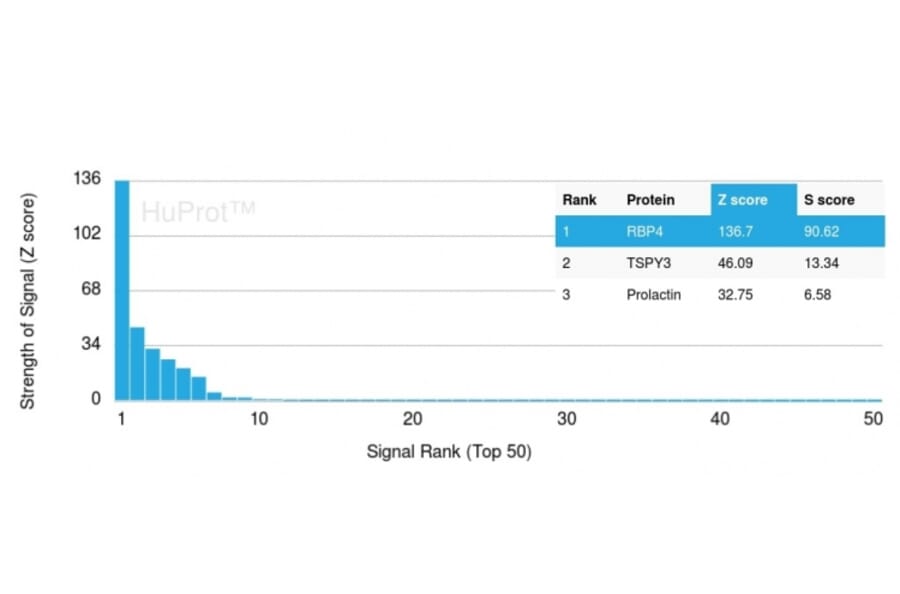 Protein Array - Anti-RBP4 Antibody [RBP4/4051] - BSA and Azide free (A253021) - Antibodies.com