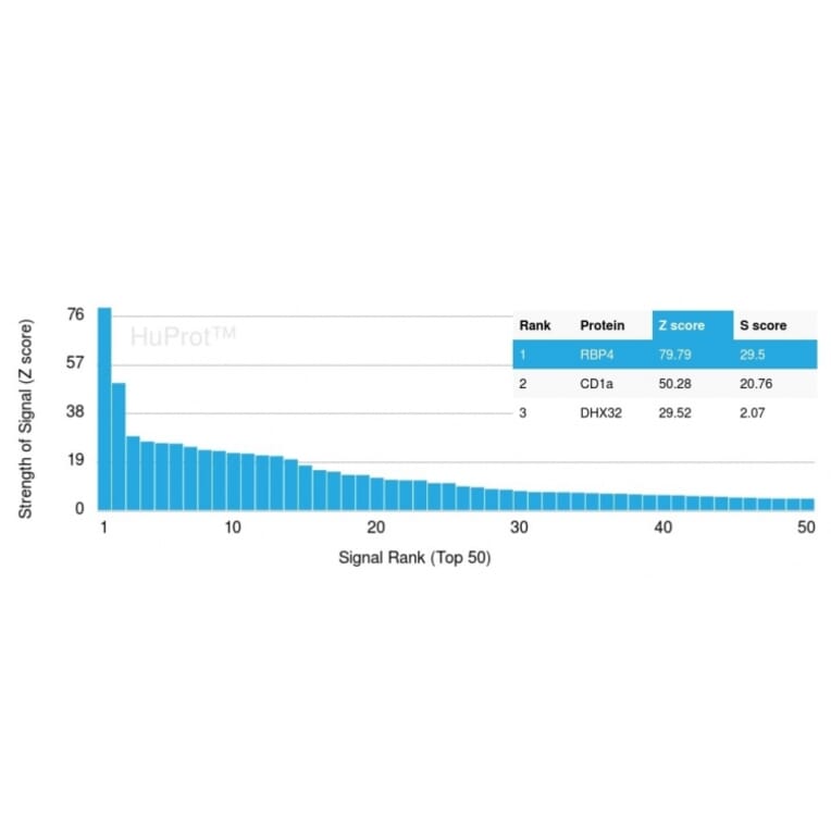Protein Array - Anti-RBP4 Antibody [RBP4/4314] - BSA and Azide free (A253023) - Antibodies.com