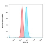 Flow Cytometry - Anti-NF-kB p65 Antibody [PCRP-RELA-1E3] - BSA and Azide free (A253057) - Antibodies.com