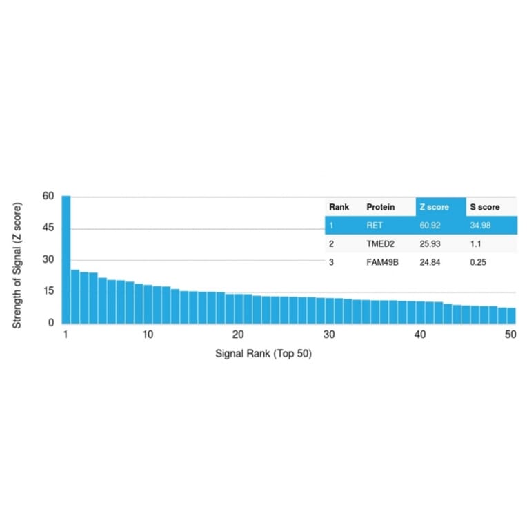 Protein Array - Anti-RET Antibody [RET/2795] - BSA and Azide free (A253061) - Antibodies.com