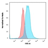 Flow Cytometry - Anti-ROR gamma Antibody [RORC/2941] - BSA and Azide free (A253091) - Antibodies.com