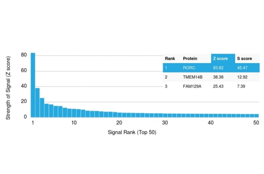 Protein Array - Anti-ROR gamma Antibody [RORC/2942] - BSA and Azide free (A253091) - Antibodies.com