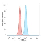 Flow Cytometry - Anti-SCXA Antibody [PCRP-SCXA-2D11] - BSA and Azide free (A253141) - Antibodies.com