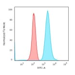 Flow Cytometry - Anti-Fascin Antibody [FSCN1/417] - BSA and Azide free (A253170) - Antibodies.com