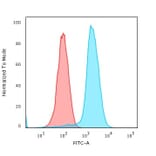 Flow Cytometry - Anti-Fascin Antibody [SPM133] - BSA and Azide free (A253171) - Antibodies.com