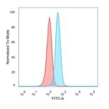 Flow Cytometry - Anti-Superoxide Dismutase 1 Antibody [SOD1/4248] - BSA and Azide free (A253180) - Antibodies.com