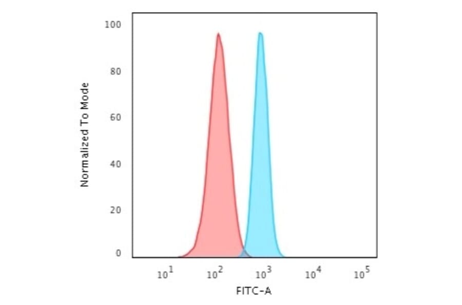 Flow Cytometry - Anti-beta III Spectrin Antibody [SPTBN2/2894R] - BSA and Azide free (A253228) - Antibodies.com