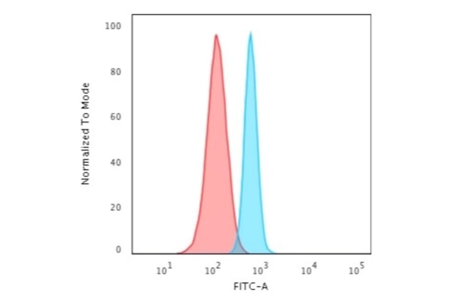 Flow Cytometry - Anti-beta III Spectrin Antibody [SPTBN2/3142R] - BSA and Azide free (A253230) - Antibodies.com