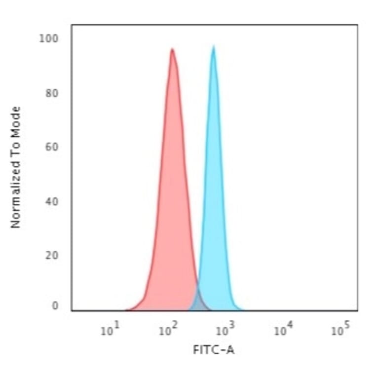 Flow Cytometry - Anti-beta III Spectrin Antibody [SPTBN2/3142R] - BSA and Azide free (A253230) - Antibodies.com