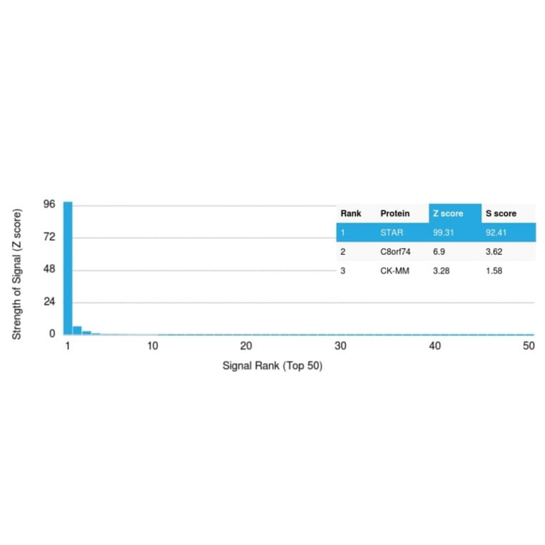 Protein Array - Anti-StAR Antibody [STAR/2140] - BSA and Azide free (A253238) - Antibodies.com