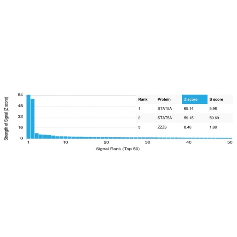 Protein Array - Anti-STAT5A Antibody [PCRP-STAT5A-1A9] - BSA and Azide free (A253243) - Antibodies.com