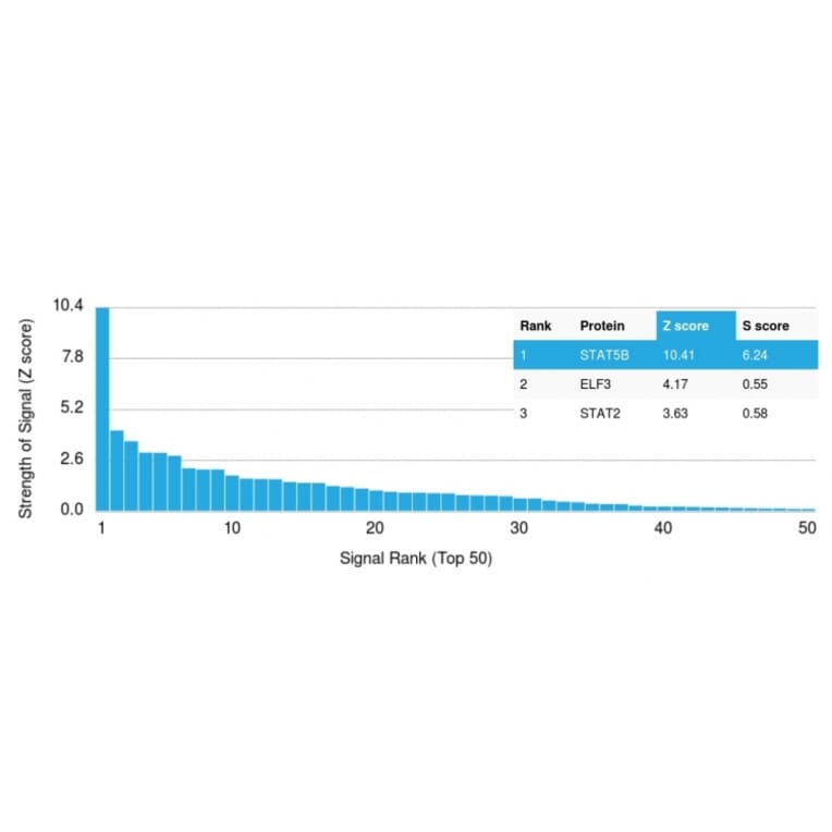 Protein Array - Anti-STAT5B Antibody [STAT5B/2657] - BSA and Azide free (A253245) - Antibodies.com