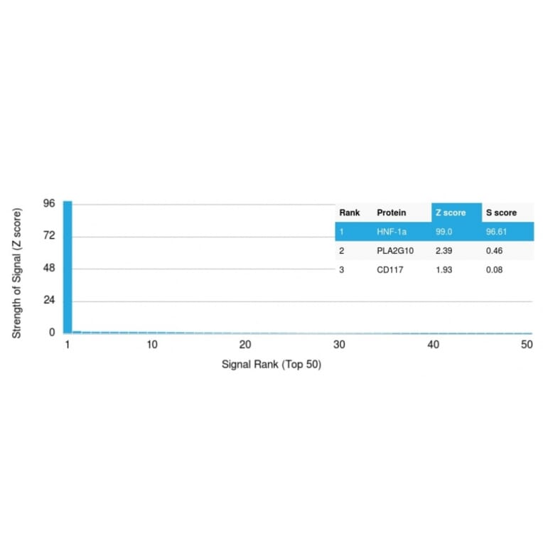 Protein Array - Anti-HNF1 alpha Antibody [HNF1A/2087] - BSA and Azide free (A253260) - Antibodies.com