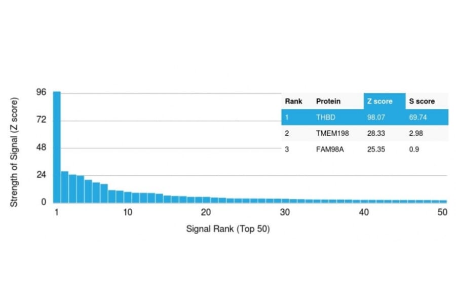 Protein Array - Anti-Thrombomodulin Antibody [rTHBD/1591] - BSA and Azide free (A253305) - Antibodies.com