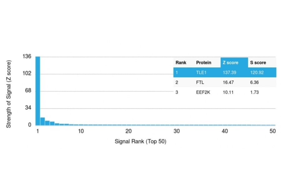 Protein Array - Anti-TLE1 Antibody [TLE1/2051] - BSA and Azide free (A253324) - Antibodies.com