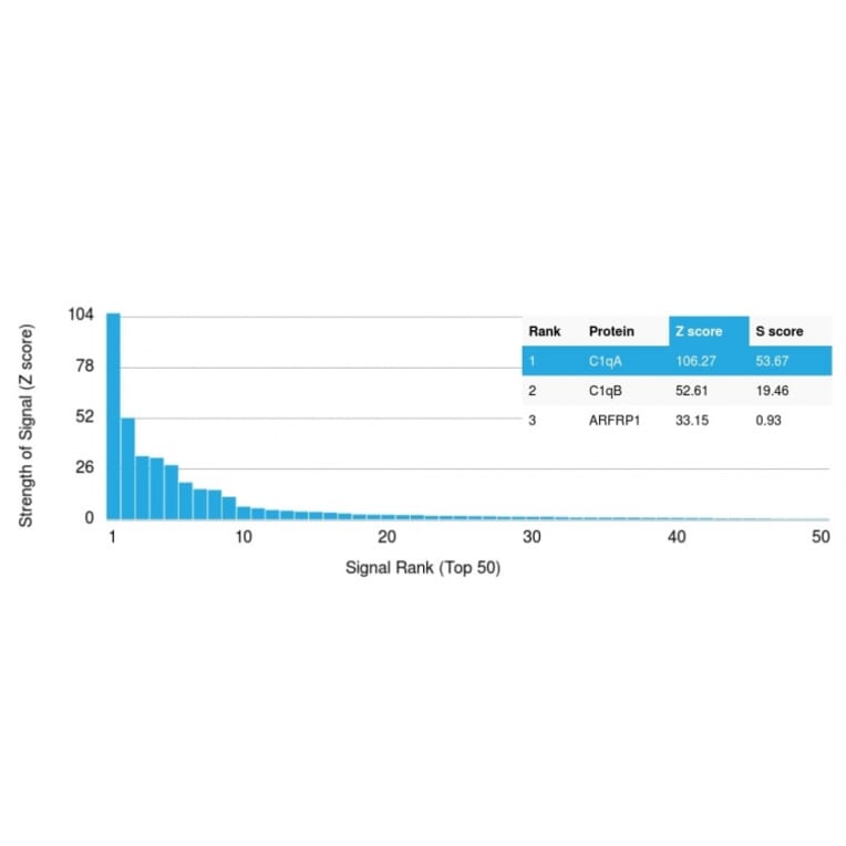 Protein Array - Anti-C1QA Antibody [C1QA/2954] - BSA and Azide free (A253341) - Antibodies.com