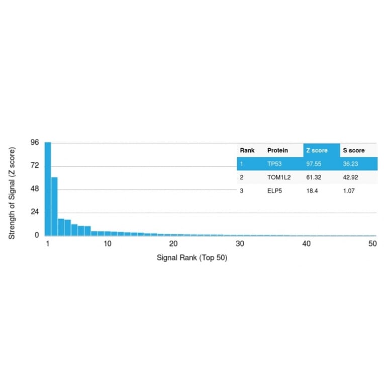 Protein Array - Anti-p53 Antibody [PAb1801] - BSA and Azide free (A253351) - Antibodies.com