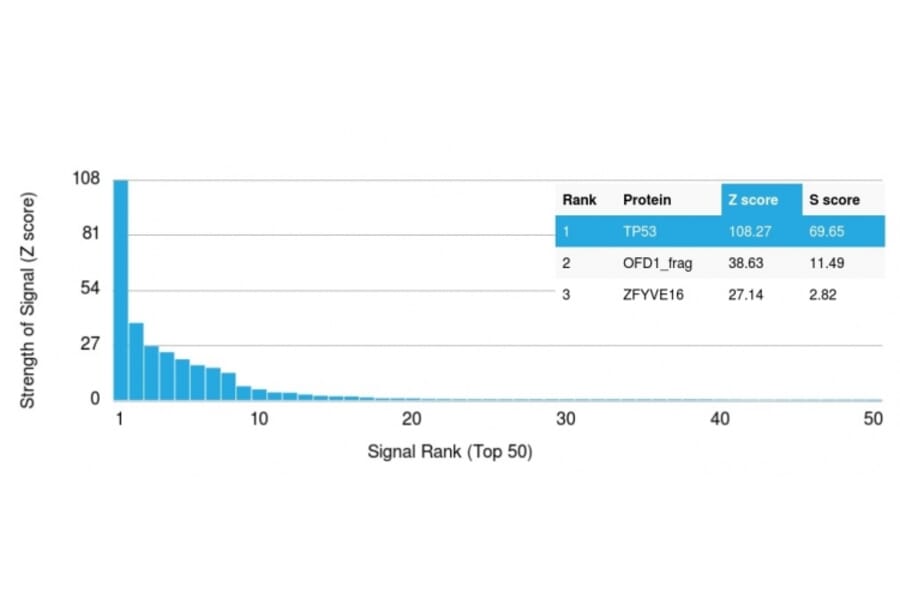 Protein Array - Anti-p53 Antibody [TP53/1739] - BSA and Azide free (A253368) - Antibodies.com