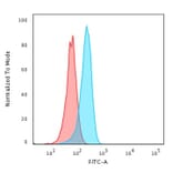 Flow Cytometry - Anti-p53 Antibody [TP53/1799R] - BSA and Azide free (A253371) - Antibodies.com