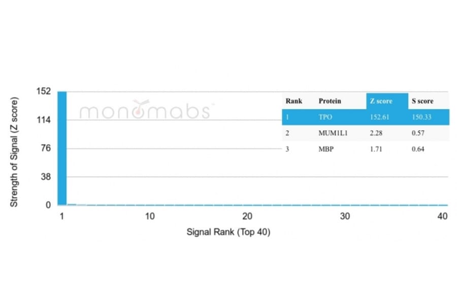 Protein Array - Anti-Thyroid Peroxidase Antibody [TPO/3701] - BSA and Azide free (A253376) - Antibodies.com