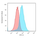 Flow Cytometry - Anti-GRP94 Antibody [HSP90B1/3168R] - BSA and Azide free (A253387) - Antibodies.com