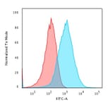 Flow Cytometry - Anti-GRP94 Antibody [SPM249] - BSA and Azide free (A253389) - Antibodies.com
