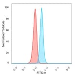 Flow Cytometry - Anti-GTF2H2C Antibody [PCRP-GTF2H2C-2C9] - BSA and Azide free (A253426) - Antibodies.com