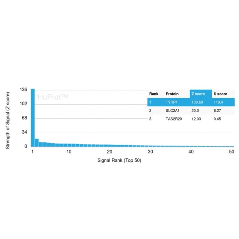 Protein Array - Anti-TRP1 Antibody [TYRP1/3283] - BSA and Azide free (A253429) - Antibodies.com