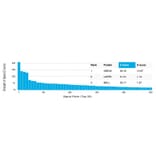 Protein Array - Anti-UBE3A Antibody [PCRP-UBE3A-1A2] - BSA and Azide free (A253444) - Antibodies.com