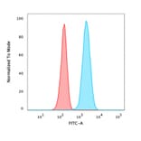 Flow Cytometry - Anti-Vinculin Antibody [VCL/3617] - BSA and Azide free (A253471) - Antibodies.com