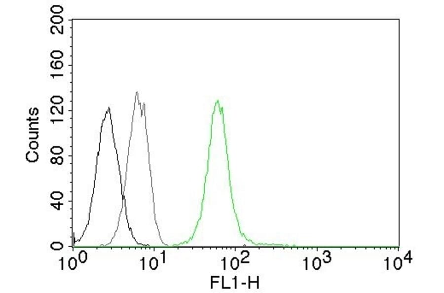 Flow Cytometry - Anti-Vimentin Antibody [VM452] - BSA and Azide free (A253487) - Antibodies.com