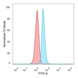 Flow Cytometry - Anti-NOC4L Antibody [PCRP-NOC4L-1E3] - BSA and Azide free (A253548) - Antibodies.com