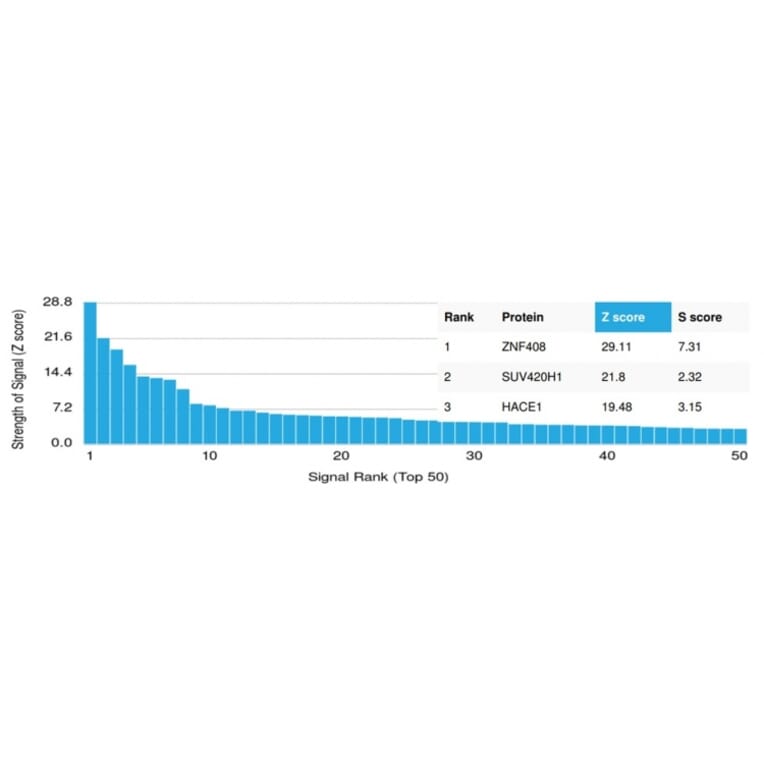 Protein Array - Anti-ZNF408 Antibody [PCRP-ZNF408-1E5] - BSA and Azide free (A253558) - Antibodies.com