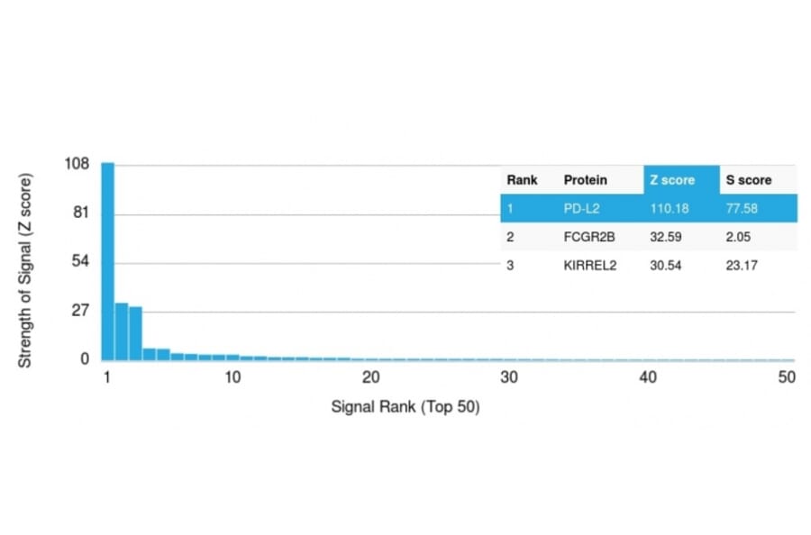 Protein Array - Anti-PD-L2 Antibody [PDL2/2676] - BSA and Azide free (A253569) - Antibodies.com