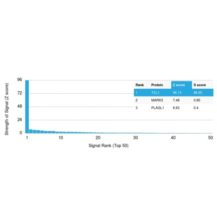 Protein Array - Anti-TCL1 Antibody [TCL1/2078] - BSA and Azide free (A253575) - Antibodies.com