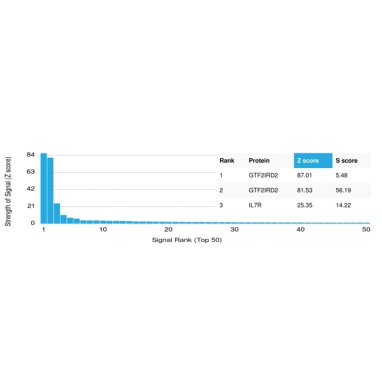Protein Array - Anti-GTF2IRD2 Antibody [PCRP-GTF2IRD2-1B12] - BSA and Azide free (A253593) - Antibodies.com