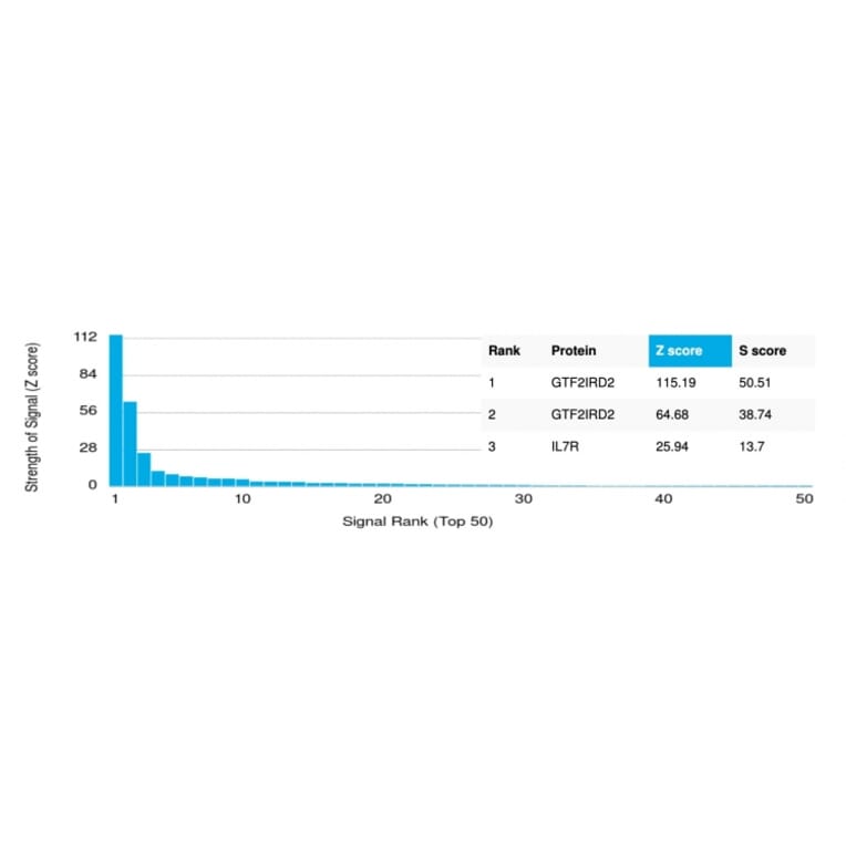 Protein Array - Anti-GTF2IRD2 Antibody [PCRP-GTF2IRD2-1B4] - BSA and Azide free (A253594) - Antibodies.com