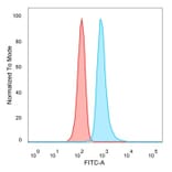 Flow Cytometry - Anti-RHOXF2 Antibody [PCRP-RHOXF2-1D7] - BSA and Azide free (A253597) - Antibodies.com