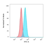 Flow Cytometry - Anti-p40 Antibody [rTP40/3690] - BSA and Azide free (A253606) - Antibodies.com