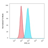 Flow Cytometry - Anti-p40 Antibody [ZR8] - BSA and Azide free (A253612) - Antibodies.com