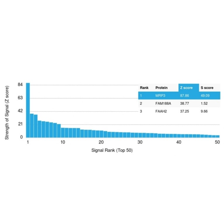 Protein Array - Anti-MRP3 Antibody [ABCC3/2971] - BSA and Azide free (A253617) - Antibodies.com