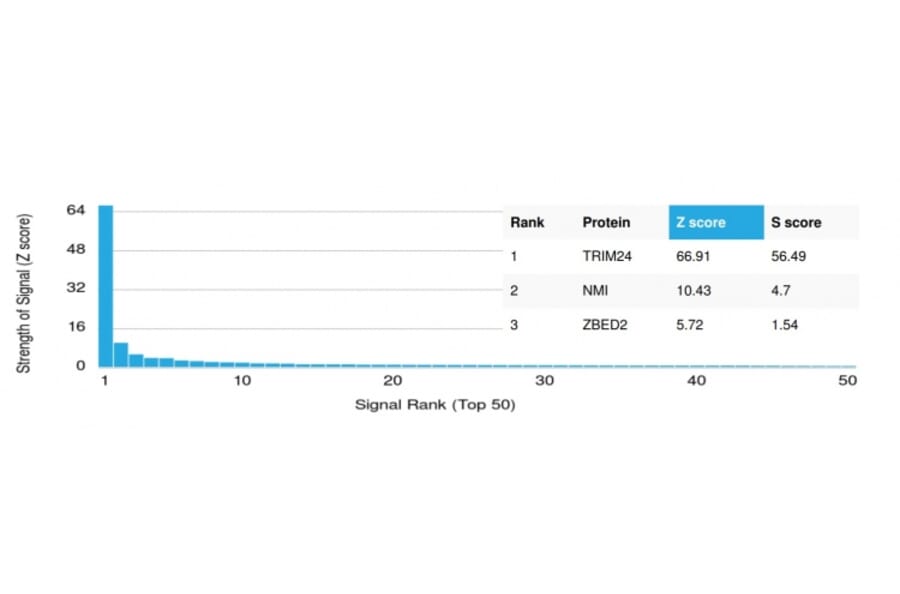 Protein Array - Anti-TIF1 alpha Antibody [PCRP-TRIM24-1B12] - BSA and Azide free (A253621) - Antibodies.com
