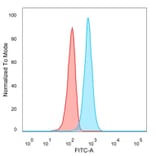Flow Cytometry - Anti-TSC22D1 Antibody [PCRP-TSC22D1-1A2] - BSA and Azide free (A253626) - Antibodies.com