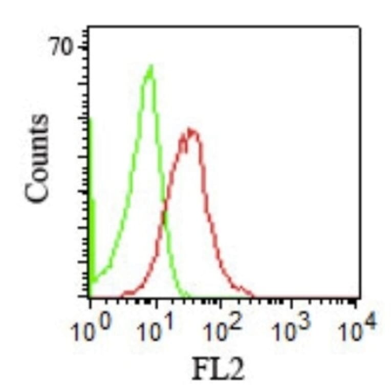 Flow Cytometry - Anti-CD1b Antibody [RIV12] - BSA and Azide free (A253656) - Antibodies.com