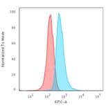 Flow Cytometry - Anti-CD3 epsilon Antibody [C3e/1308] - BSA and Azide free (A253684) - Antibodies.com