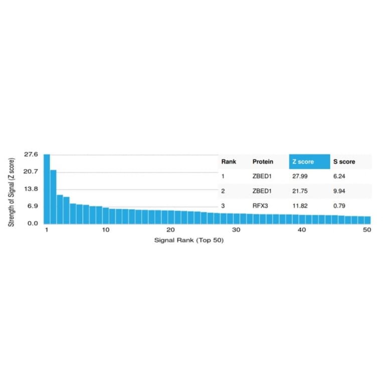 Protein Array - Anti-ZBED1 Antibody [PCRP-ZBED1-1E1] - BSA and Azide free (A253689) - Antibodies.com